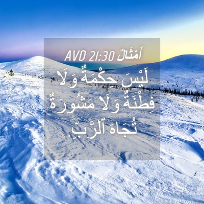 Picture 04 - أَمْثَالٌ 21:30 AVD - لَيْسَ حِكْمَةٌ وَلَا - Bible Verse Picture