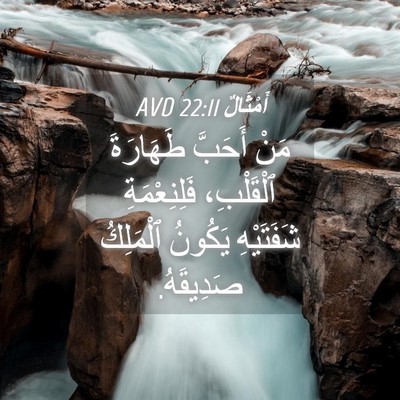 Picture 04 - أَمْثَالٌ 22:11 AVD - مَنْ أَحَبَّ طَهَارَةَ - Bible Verse Picture