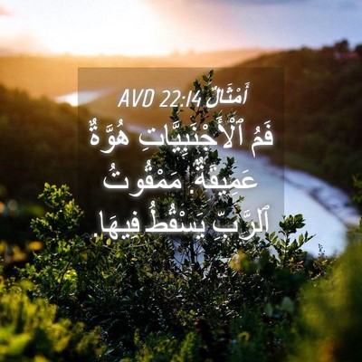 Picture 04 - أَمْثَالٌ 22:14 AVD - فَمُ ٱلْأَجْنَبِيَّاتِ - Bible Verse Picture