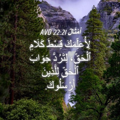 Picture 04 - أَمْثَالٌ 22:21 AVD - لِأُعَلِّمَكَ قِسْطَ - Bible Verse Picture