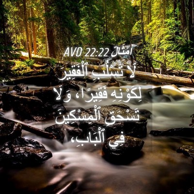 Picture 04 - أَمْثَالٌ 22:22 AVD - لَا تَسْلُبِ ٱلْفَقِيرَ - Bible Verse Picture