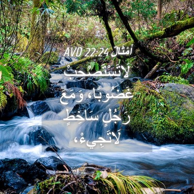 Picture 04 - أَمْثَالٌ 22:24 AVD - لَاتَسْتَصْحِبْ غَضُوبًا، - Bible Verse Picture