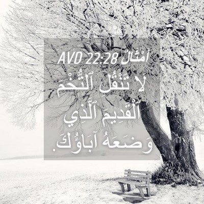 Picture 04 - أَمْثَالٌ 22:28 AVD - لَا تَنْقُلِ ٱلتُّخْمَ - Bible Verse Picture