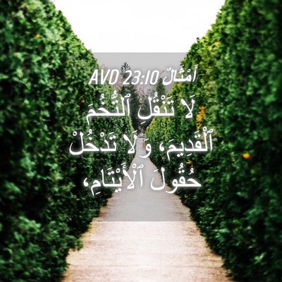 Picture 04 - أَمْثَالٌ 23:10 AVD - لَا تَنْقُلِ ٱلتُّخُمَ - Bible Verse Picture