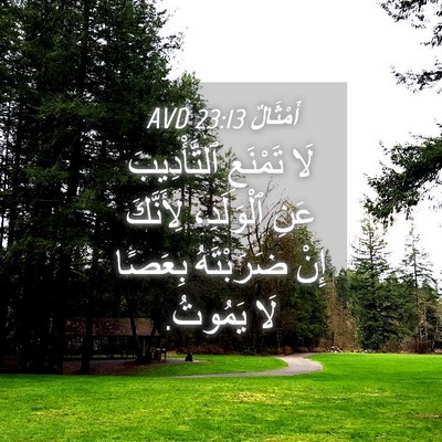 Picture 04 - أَمْثَالٌ 23:13 AVD - لَا تَمْنَعِ ٱلتَّأْدِيبَ - Bible Verse Picture