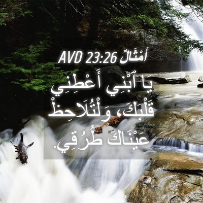 Picture 04 - أَمْثَالٌ 23:26 AVD - يَا ٱبْنِي أَعْطِنِي - Bible Verse Picture
