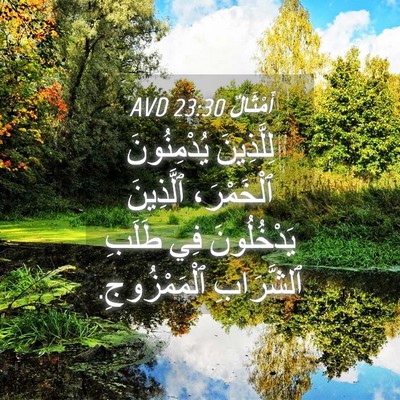 Picture 04 - أَمْثَالٌ 23:30 AVD - لِلَّذِينَ يُدْمِنُونَ - Bible Verse Picture