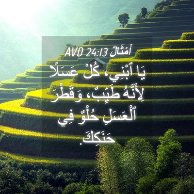 Picture 04 - أَمْثَالٌ 24:13 AVD - يَا ٱبْنِي، كُلْ عَسَلًا - Bible Verse Picture