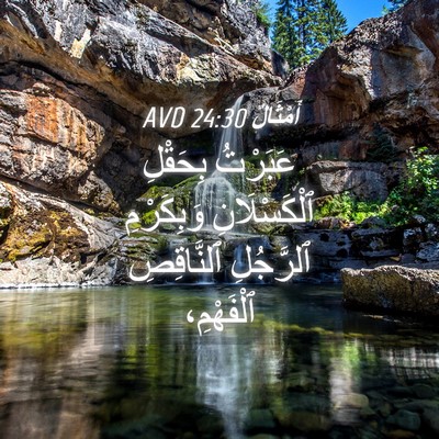 Picture 04 - أَمْثَالٌ 24:30 AVD - عَبَرْتُ بِحَقْلِ - Bible Verse Picture