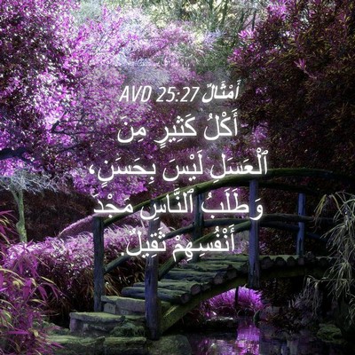 Picture 04 - أَمْثَالٌ 25:27 AVD - أَكْلُ كَثِيرٍ مِنَ - Bible Verse Picture