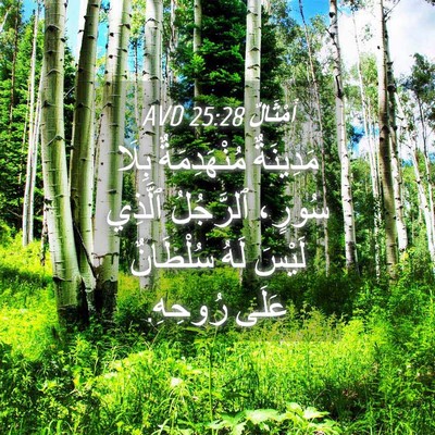 Picture 04 - أَمْثَالٌ 25:28 AVD - مَدِينَةٌ مُنْهَدِمَةٌ - Bible Verse Picture