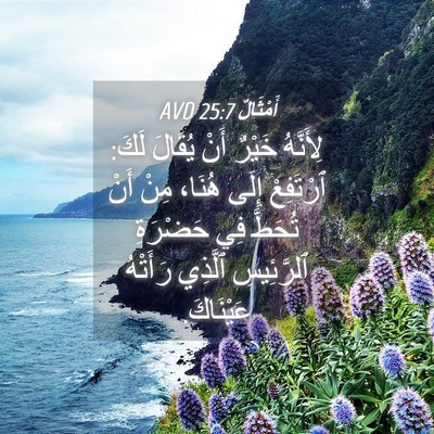 Picture 04 - أَمْثَالٌ 25:7 AVD - لِأَنَّهُ خَيْرٌ أَنْ - Bible Verse Picture