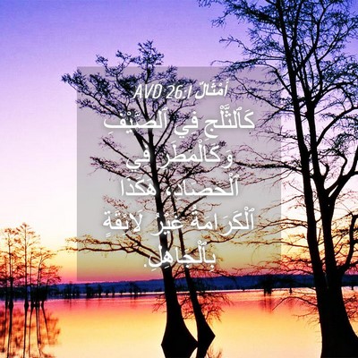 Picture 04 - أَمْثَالٌ 26:1 AVD - كَٱلثَّلْجِ فِي ٱلصَّيْفِ - Bible Verse Picture