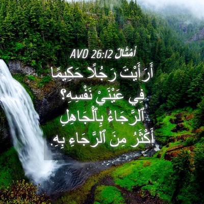 Picture 04 - أَمْثَالٌ 26:12 AVD - أَرَأَيْتَ رَجُلًا - Bible Verse Picture