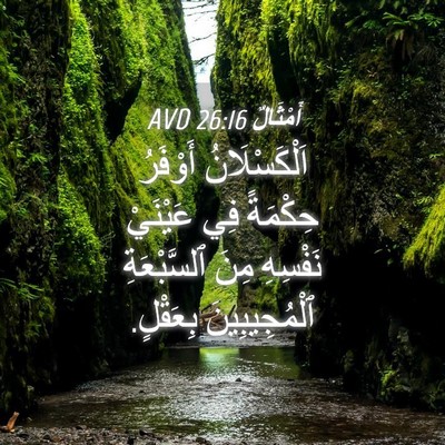 Picture 04 - أَمْثَالٌ 26:16 AVD - اَلْكَسْلَانُ أَوْفَرُ - Bible Verse Picture
