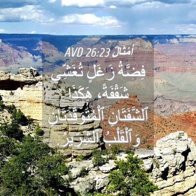 Picture 04 - أَمْثَالٌ 26:23 AVD - فِضَّةُ زَغَلٍ تُغَشِّي - Bible Verse Picture