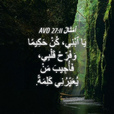 Picture 04 - أَمْثَالٌ 27:11 AVD - يَا ٱبْنِي، كُنْ حَكِيمًا - Bible Verse Picture