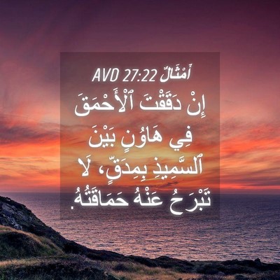 Picture 04 - أَمْثَالٌ 27:22 AVD - إِنْ دَقَقْتَ ٱلْأَحْمَقَ - Bible Verse Picture