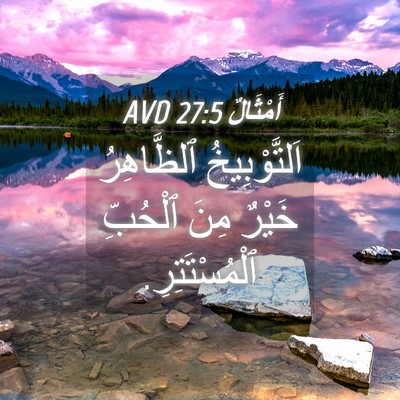 Picture 04 - أَمْثَالٌ 27:5 AVD - اَلتَّوْبِيخُ ٱلظَّاهِرُ - Bible Verse Picture