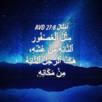 Picture 04 - أَمْثَالٌ 27:8 AVD - مِثْلُ ٱلْعُصْفُورِ - Bible Verse Picture