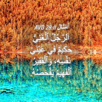 Picture 04 - أَمْثَالٌ 28:11 AVD - اَلرَّجُلُ ٱلْغَنِيُّ - Bible Verse Picture