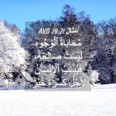 Picture 04 - أَمْثَالٌ 28:21 AVD - مُحَابَاةُ ٱلْوُجُوهِ - Bible Verse Picture