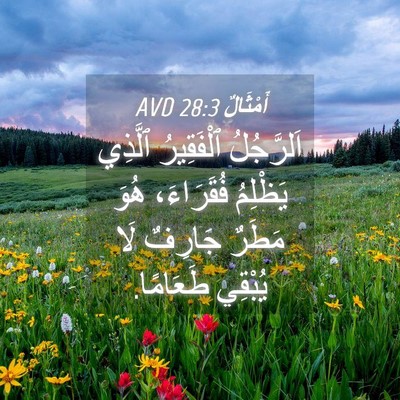 Picture 04 - أَمْثَالٌ 28:3 AVD - اَلرَّجُلُ ٱلْفَقِيرُ - Bible Verse Picture