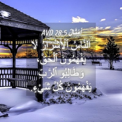 Picture 04 - أَمْثَالٌ 28:5 AVD - اَلنَّاسُ ٱلْأَشْرَارُ - Bible Verse Picture