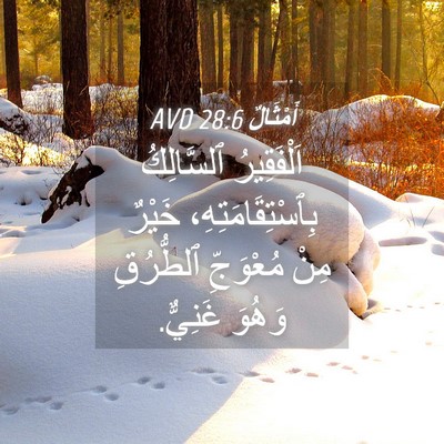 Picture 04 - أَمْثَالٌ 28:6 AVD - اَلْفَقِيرُ ٱلسَّالِكُ - Bible Verse Picture