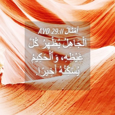 Picture 04 - أَمْثَالٌ 29:11 AVD - اَلْجَاهِلُ يُظْهِرُ - Bible Verse Picture