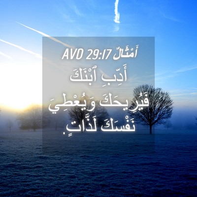 Picture 04 - أَمْثَالٌ 29:17 AVD - أَدِّبِ ٱبْنَكَ - Bible Verse Picture