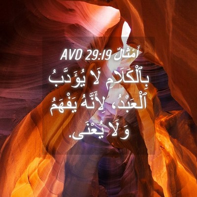 Picture 04 - أَمْثَالٌ 29:19 AVD - بِٱلْكَلَامِ لَا - Bible Verse Picture