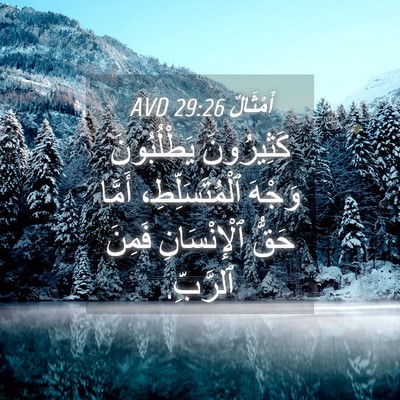 Picture 04 - أَمْثَالٌ 29:26 AVD - كَثِيرُونَ يَطْلُبُونَ - Bible Verse Picture