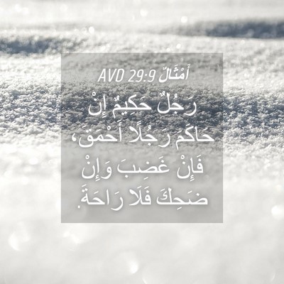 Picture 04 - أَمْثَالٌ 29:9 AVD - رَجُلٌ حَكِيمٌ إِنْ - Bible Verse Picture