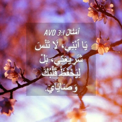 Picture 04 - أَمْثَالٌ 3:1 AVD - يَا ٱبْنِي، لَا تَنْسَ - Bible Verse Picture