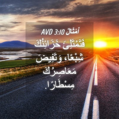 Picture 04 - أَمْثَالٌ 3:10 AVD - فَتَمْتَلِئَ خَزَائِنُكَ - Bible Verse Picture