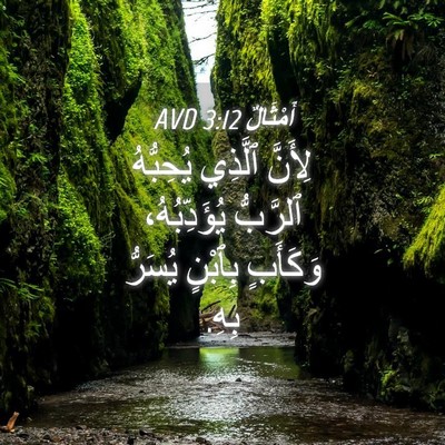 Picture 04 - أَمْثَالٌ 3:12 AVD - لِأَنَّ ٱلَّذِي يُحِبُّهُ - Bible Verse Picture