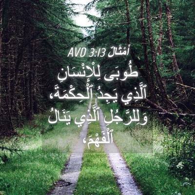 Picture 04 - أَمْثَالٌ 3:13 AVD - طُوبَى لِلْإِنْسَانِ - Bible Verse Picture