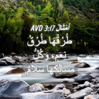 Picture 04 - أَمْثَالٌ 3:17 AVD - طُرُقُهَا طُرُقُ نِعَمٍ، - Bible Verse Picture