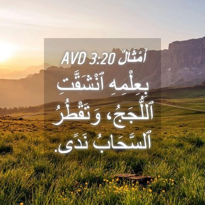 Picture 04 - أَمْثَالٌ 3:20 AVD - بِعِلْمِهِ ٱنْشَقَّتِ - Bible Verse Picture