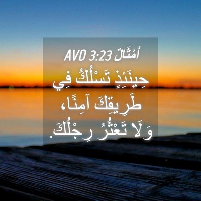 Picture 04 - أَمْثَالٌ 3:23 AVD - حِينَئِذٍ تَسْلُكُ فِي - Bible Verse Picture
