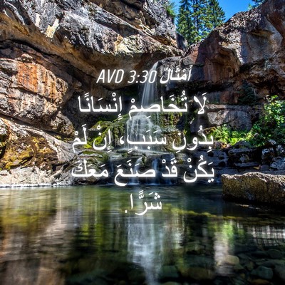 Picture 04 - أَمْثَالٌ 3:30 AVD - لَا تُخَاصِمْ إِنْسَانًا - Bible Verse Picture