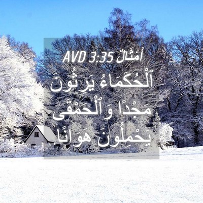 Picture 04 - أَمْثَالٌ 3:35 AVD - ٱلْحُكَمَاءُ يَرِثُونَ - Bible Verse Picture