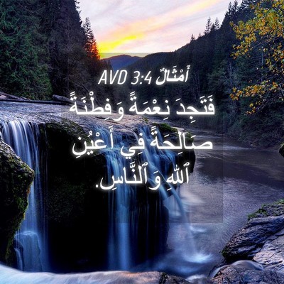 Picture 04 - أَمْثَالٌ 3:4 AVD - فَتَجِدَ نِعْمَةً - Bible Verse Picture