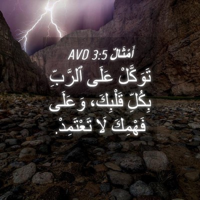 Picture 04 - أَمْثَالٌ 3:5 AVD - تَوَكَّلْ عَلَى ٱلرَّبِّ - Bible Verse Picture