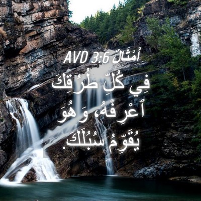 Picture 04 - أَمْثَالٌ 3:6 AVD - فِي كُلِّ طُرُقِكَ - Bible Verse Picture