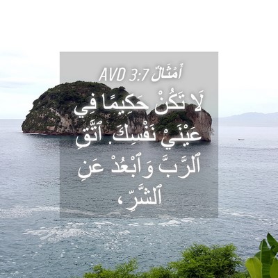 Picture 04 - أَمْثَالٌ 3:7 AVD - لَا تَكُنْ حَكِيمًا فِي - Bible Verse Picture