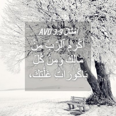Picture 04 - أَمْثَالٌ 3:9 AVD - أَكْرِمِ ٱلرَّبَّ مِنْ - Bible Verse Picture