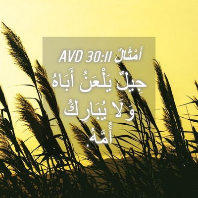 Picture 04 - أَمْثَالٌ 30:11 AVD - جِيلٌ يَلْعَنُ أَبَاهُ - Bible Verse Picture