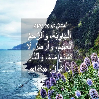 Picture 04 - أَمْثَالٌ 30:16 AVD - ٱلْهَاوِيَةُ، وَٱلرَّحِمُ - Bible Verse Picture